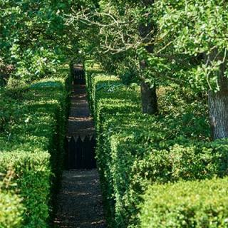 Décor pour votre tournage : le parc labyrinthe du château de Merville